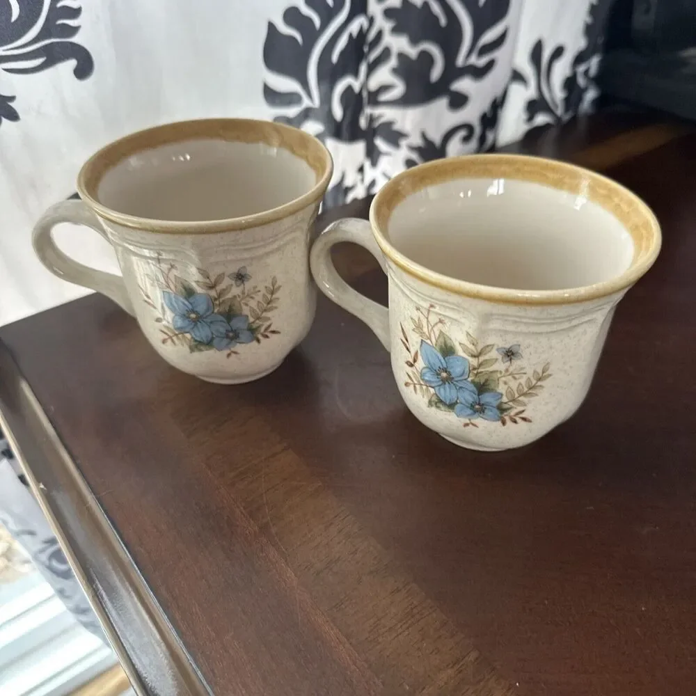 Mikasa Garden Club Day Dreams Bouquet Set of Two Mugs EC 461 Japan